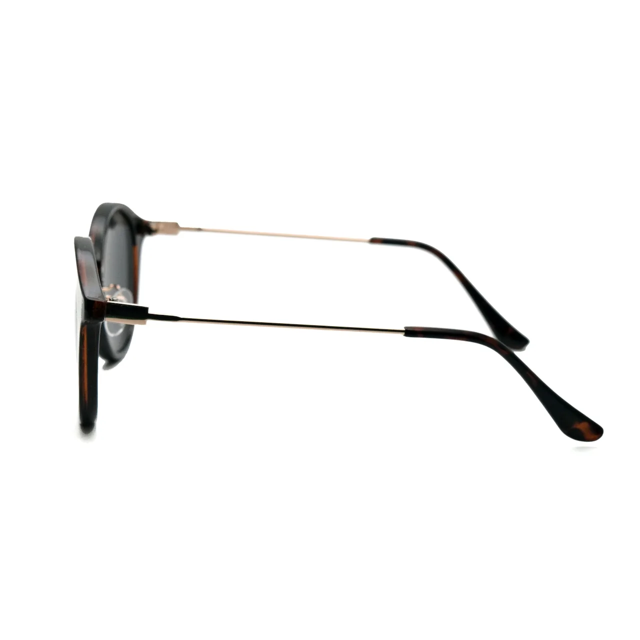 Essex ボストン / サングラス 14